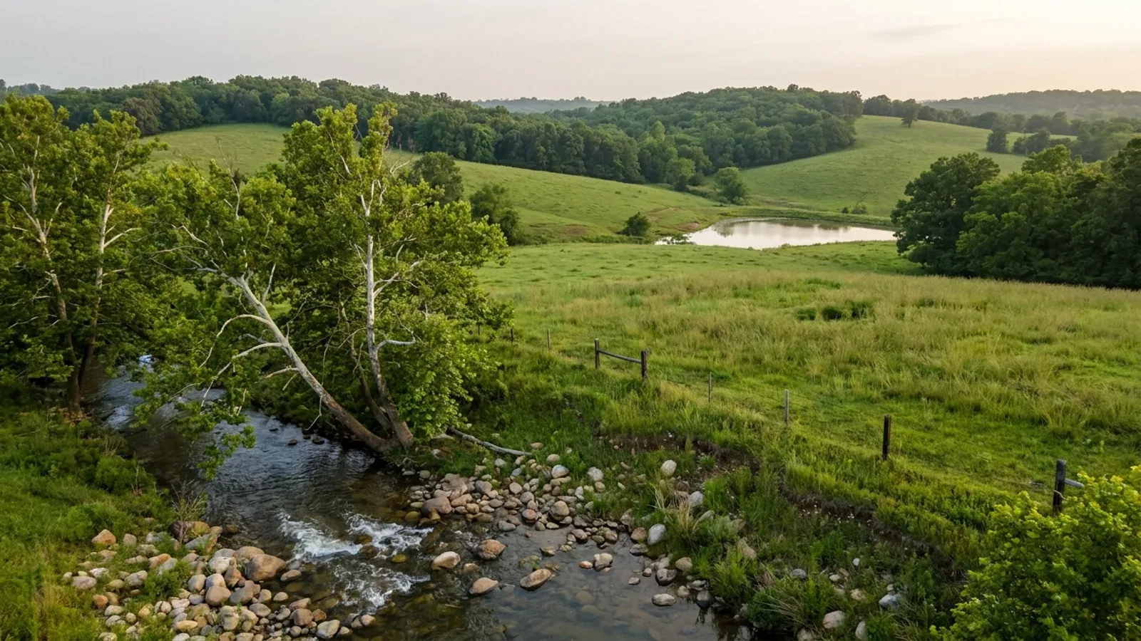 Lush rolling green hills of pasture and oak-hickory woodland above a clear shallow creek lined with white-barked sycamores.